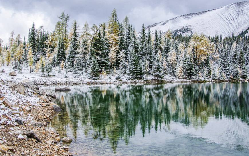 Take the walk around Chester Lake on a trail for a completely different view of the area