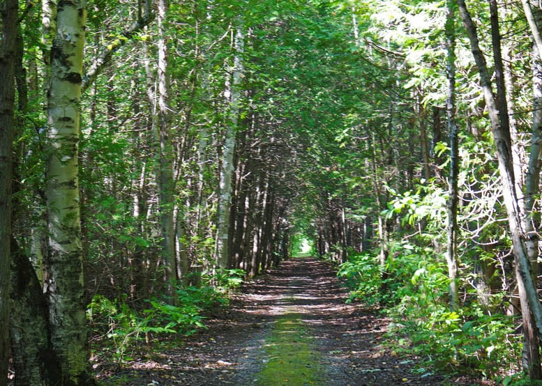 A Hike on the Northumberland Section of the Ganaraska Trail