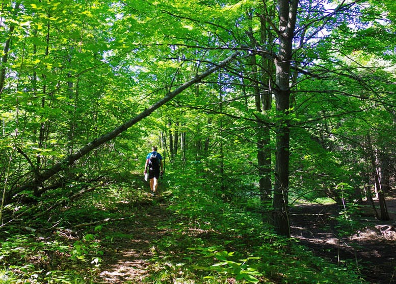 A Hike on the Northumberland Section of the Ganaraska Trail