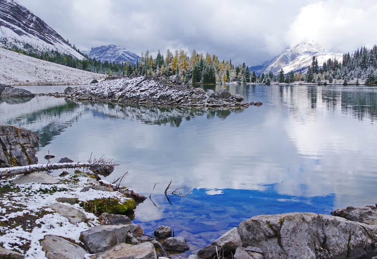 25 Larch Photos That Will Make You Wish You Were in the Mountains