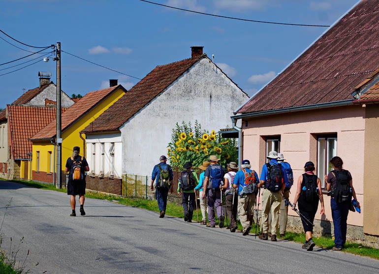 Walking through a sleepy village filled with sunflowers Telc Czech Republic