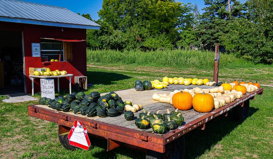 Farm stand along the Lakeshore Trail