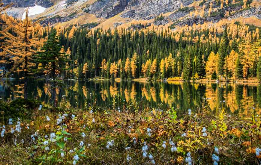 Incredible O'Brien Lake