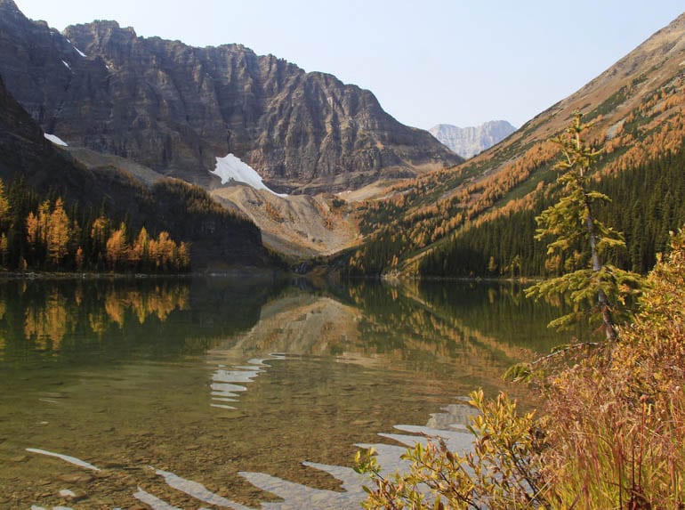 25 Larch Photos That Will Make You Wish You Were in the Mountains