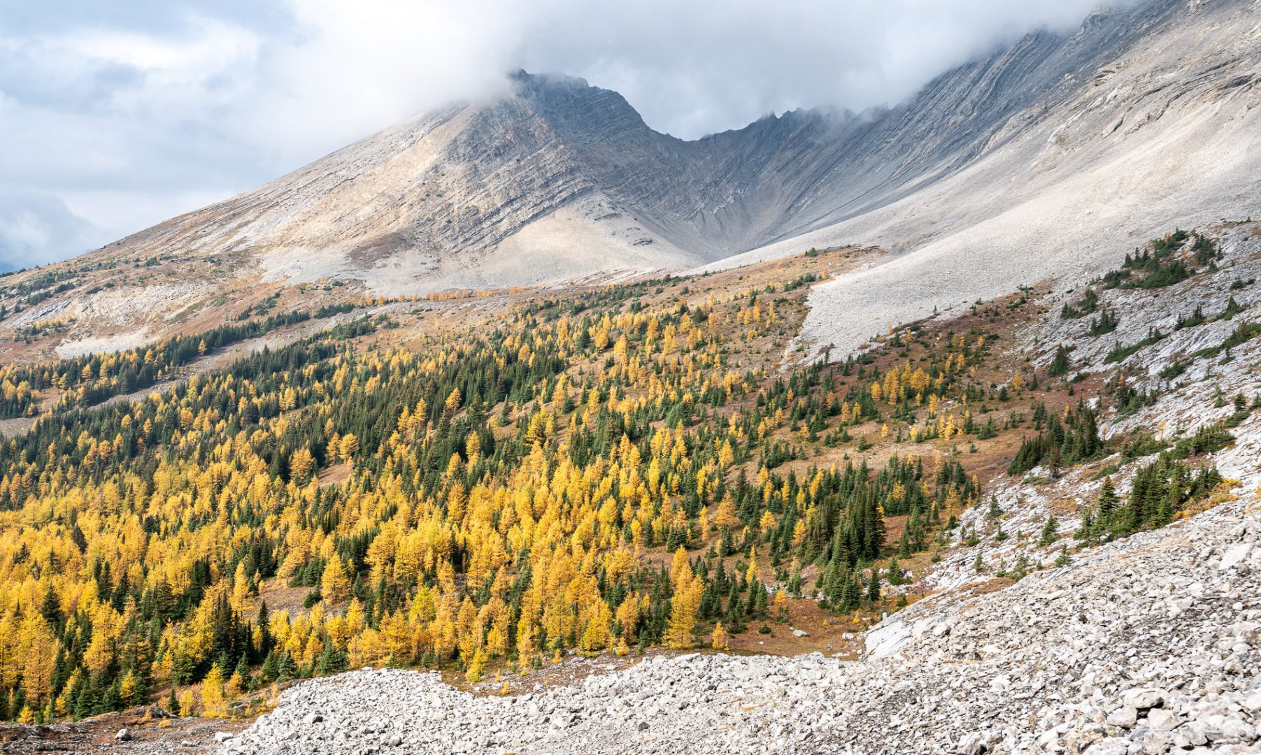 Grand views on Arethusa Cirque - one of the top larch hikes in Alberta