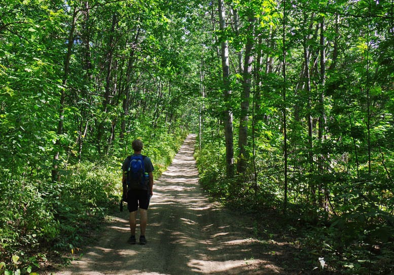 A beautiful shaded section of the Oak Ridges Moraine Trail