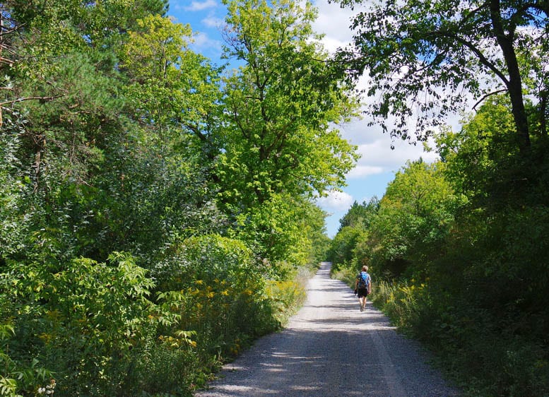 An Easy Hike on the Oak Ridges Moraine Trail