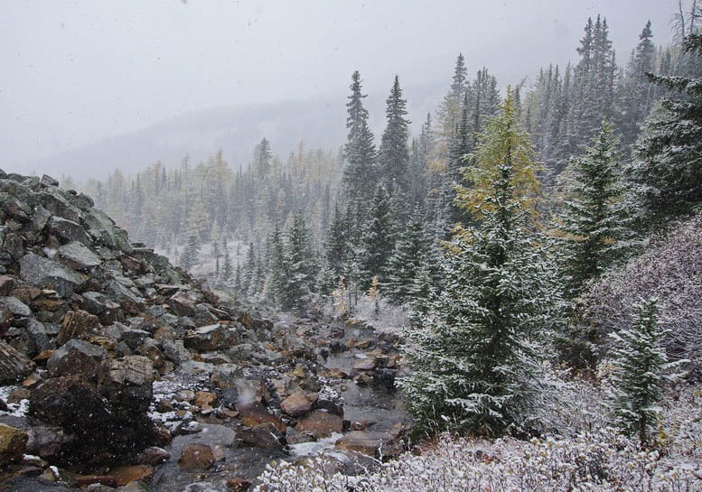 The Fabulous Arethusa Cirque Hike in Kananaskis Country
