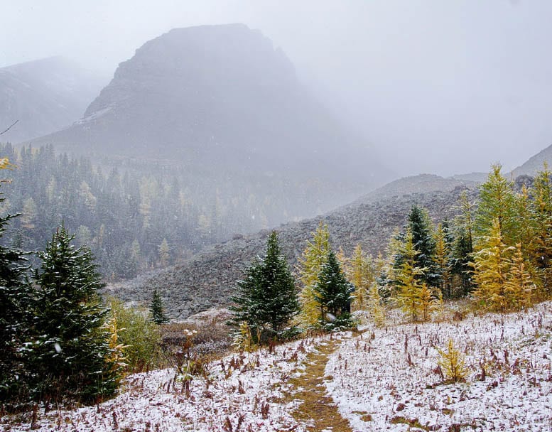 The Fabulous Arethusa Cirque Hike in Kananaskis Country