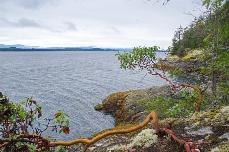 Backpacking the Sunshine Coast Trail: Mt. Troubridge to Saltery Bay