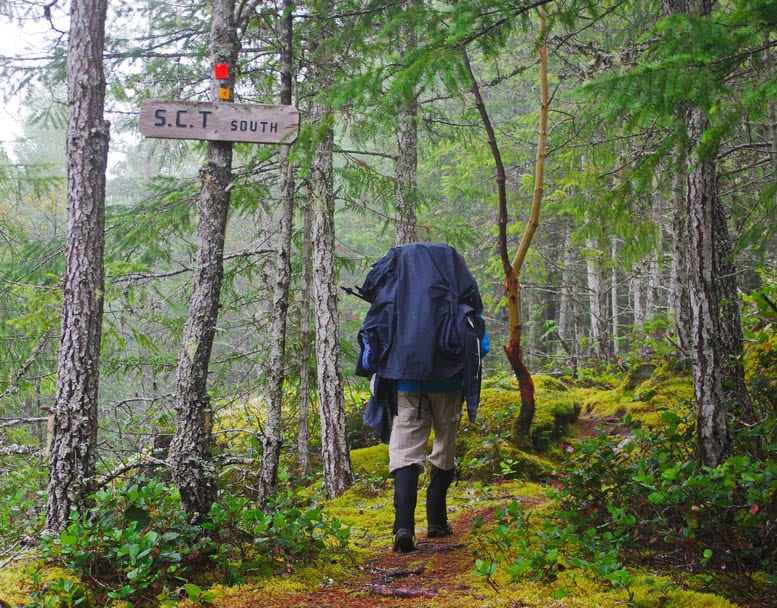 Backpacking the Sunshine Coast Trail: Sarah Point to Powell River