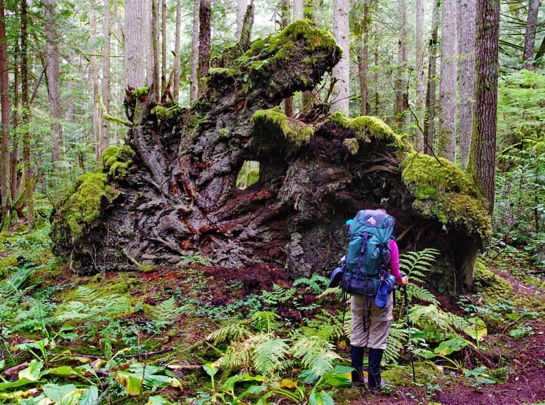 Backpacking the Sunshine Coast Trail: Sarah Point to Powell River