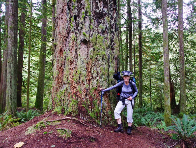 Backpacking the Sunshine Coast Trail: Sarah Point to Powell River