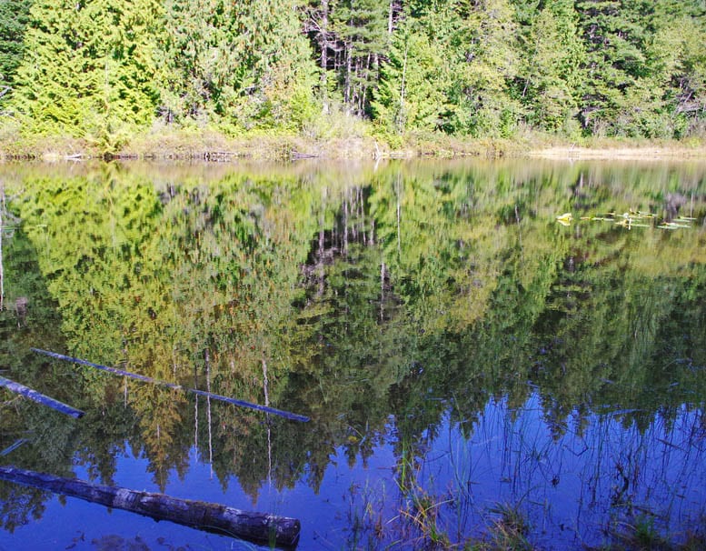 Backpacking the Sunshine Coast Trail: Sarah Point to Powell River