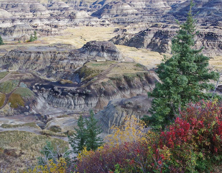 A Weekend Getaway to Rosebud, Alberta