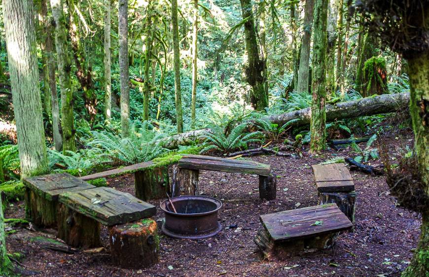 The campsite at Fern Gully Creek is rather moss covered