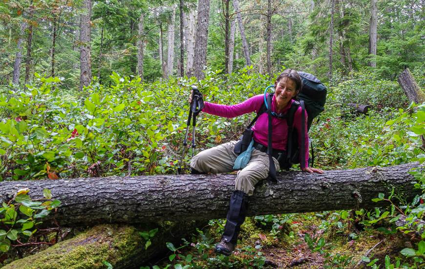 Fortunately there weren't too many energy zapping trees to get over on the trail