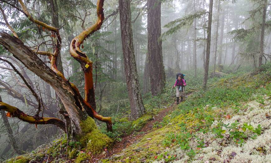 The hiking on the bluff towards Manzanita Hut is really exceptional