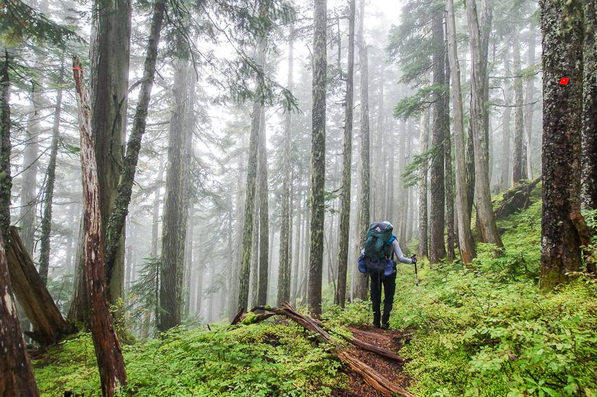 Descending through the woods is nothing short of magical