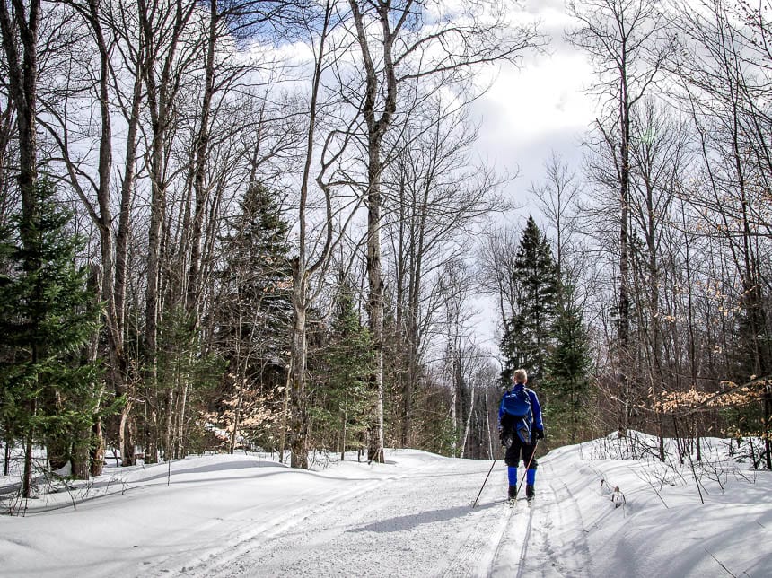 The trails are beautiful in Algonquin Provincial Park