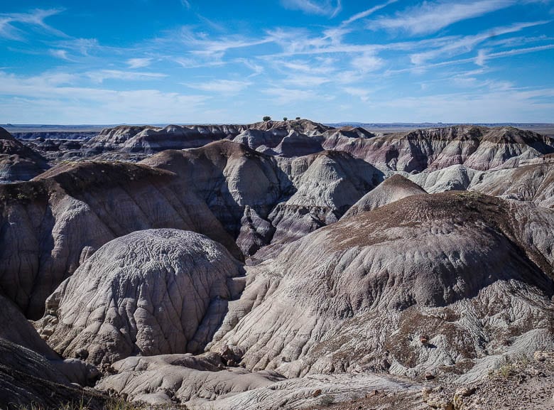 Discover the Beauty of Petrified Forest National Park in 17 Photos
