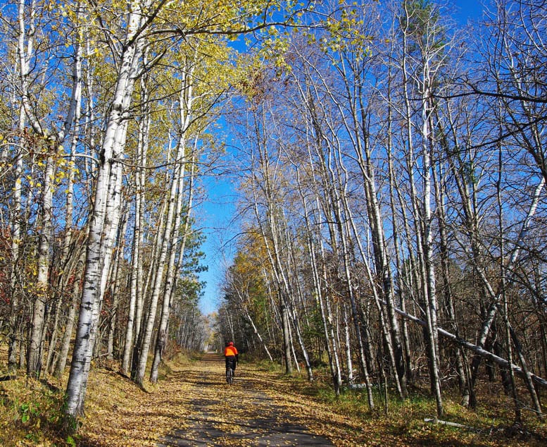 Minnesota Heartland State Trail: A Scenic Journey Through the Heart of the Land