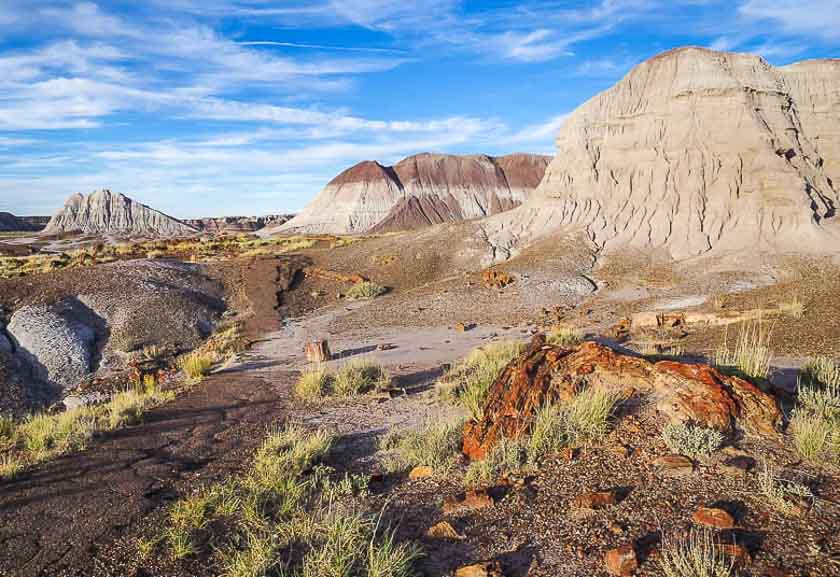 Petrified Forest photos catching the golden hour in the Long Logs area