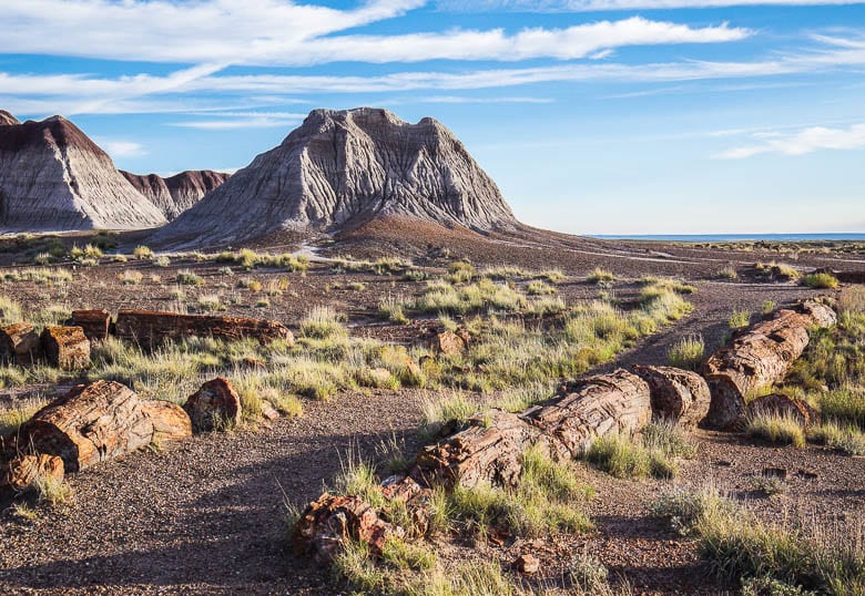 One of the most interesting places to get Petrified Forest photos is on the Long Logs hike near the southern boundary of the parks