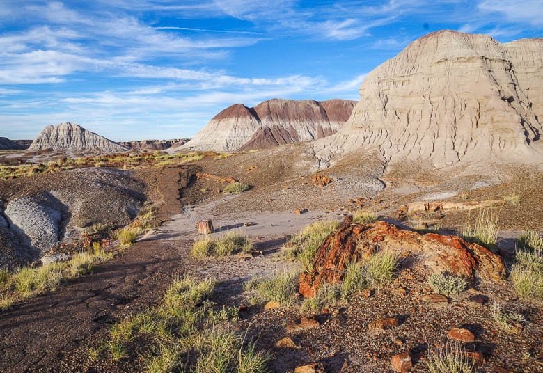 Discover the beauty of Petrified Forest National Park in 17 Photos