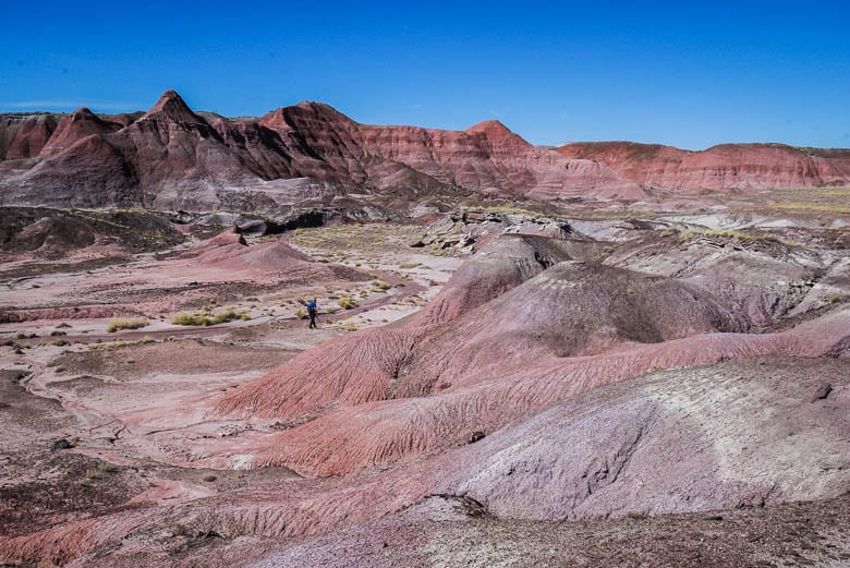 Discover the beauty of Petrified Forest National Park in 17 Photos