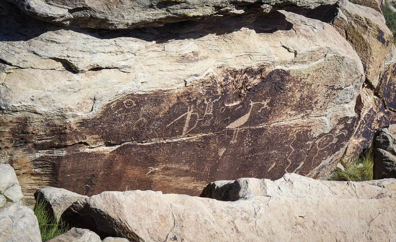 Discover the beauty of Petrified Forest National Park