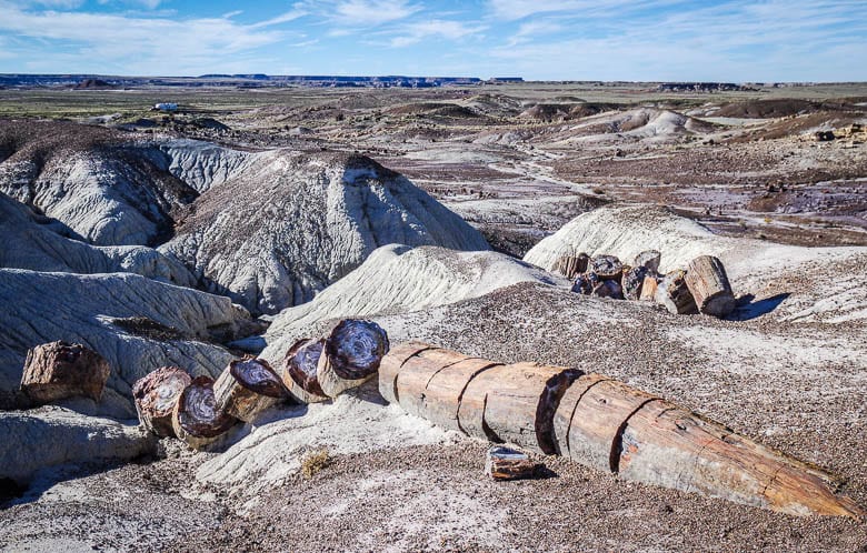  Getting Petrified Forest photos of perfectly split logs in the Crystal Forest