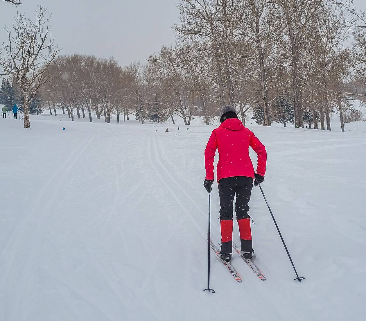 Cross-country skiing in Confederation Park