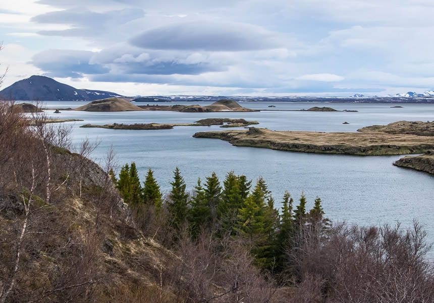 Best Things to do in the Myvatn Area - explore the area called Hofdi on foot