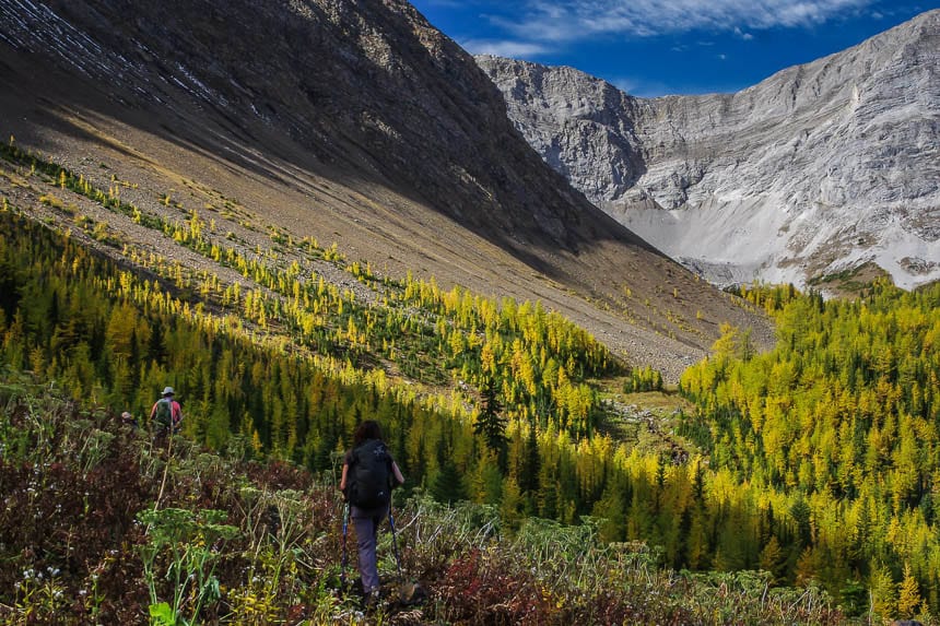 This is one of the top hikes in Alberta to do during larch season