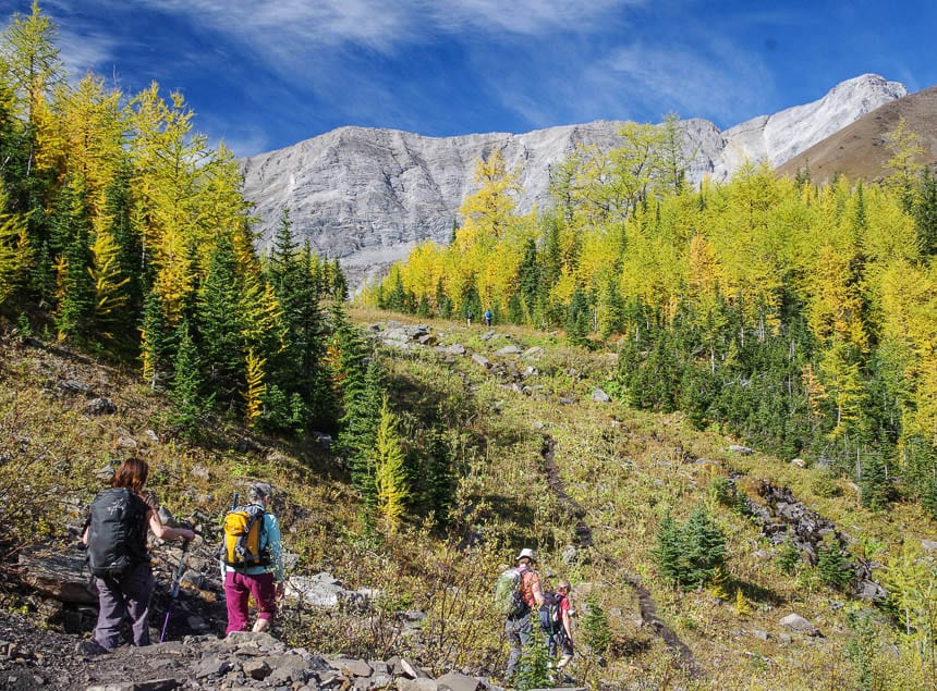 The trail is well defined for 90% of the hike