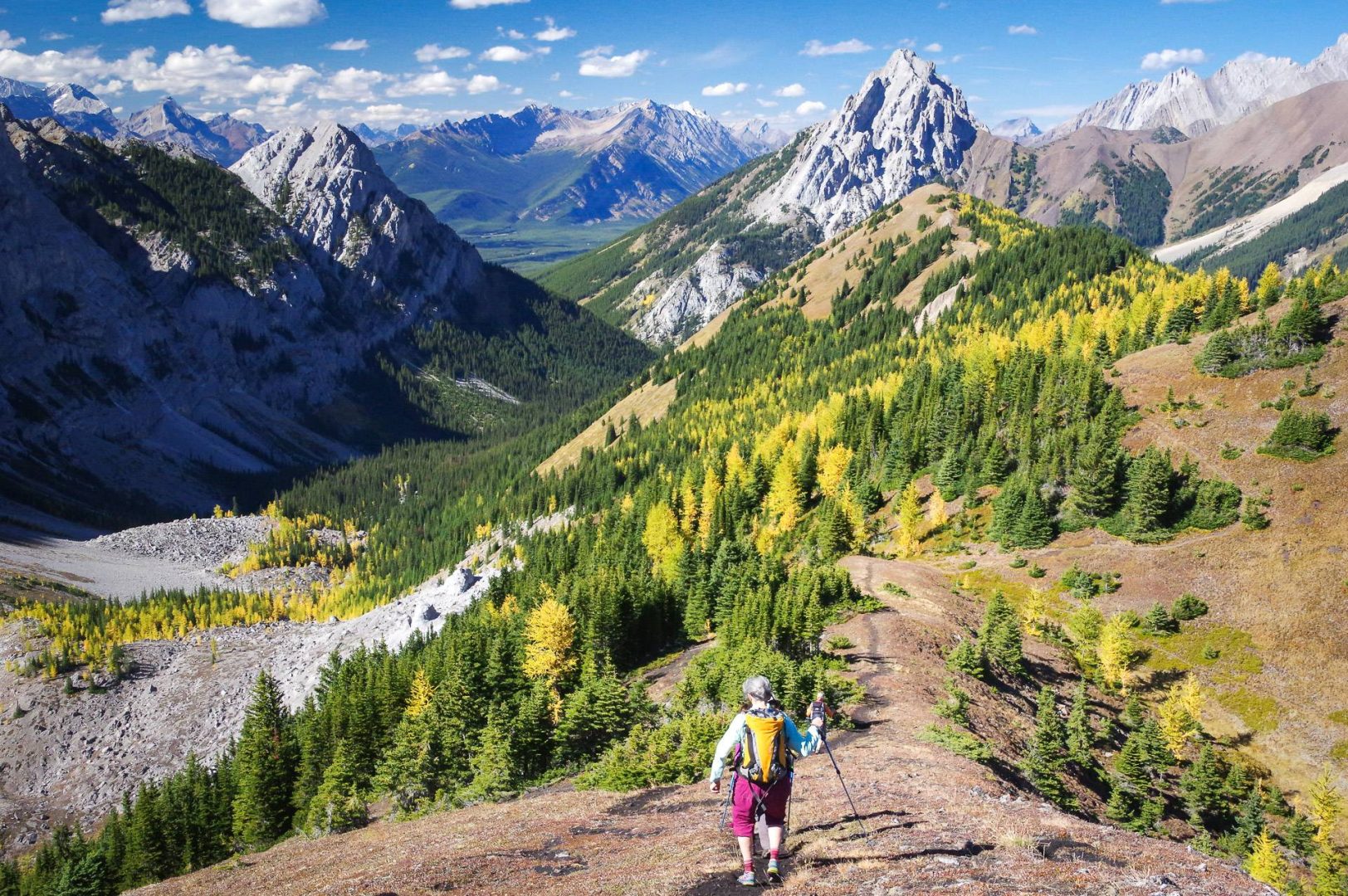 The Pocaterra Ridge hike - at its best in larch season