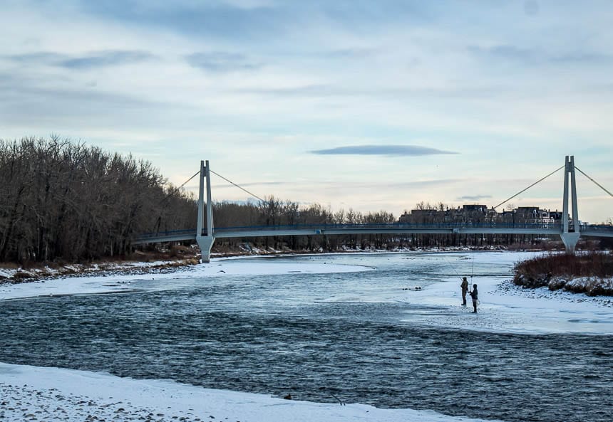 Fly-fishing on the Bow River