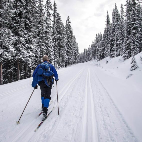 Cross-country skiing on the Moraine Lake Road