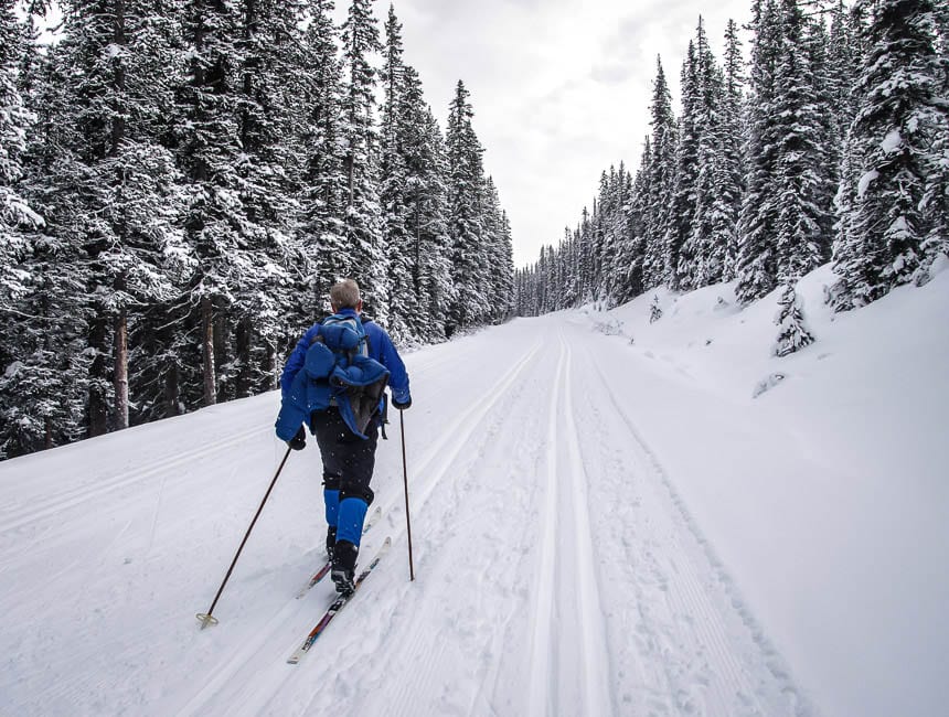 Cross-country skiing on the Moraine Lake Road