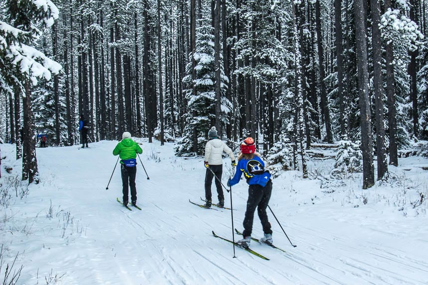 Skiing the trails at West Bragg Creek