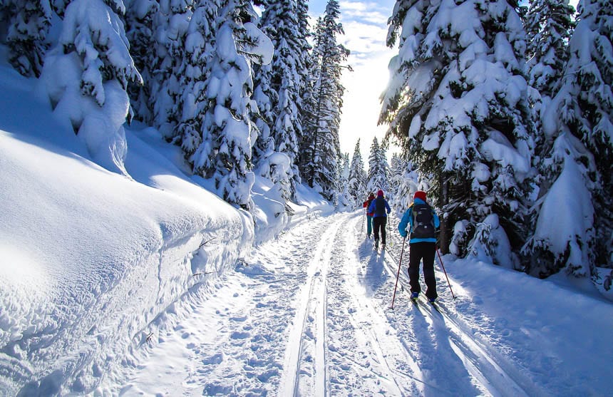 Gorgeous skiing in Peter Lougheed Provincial Park