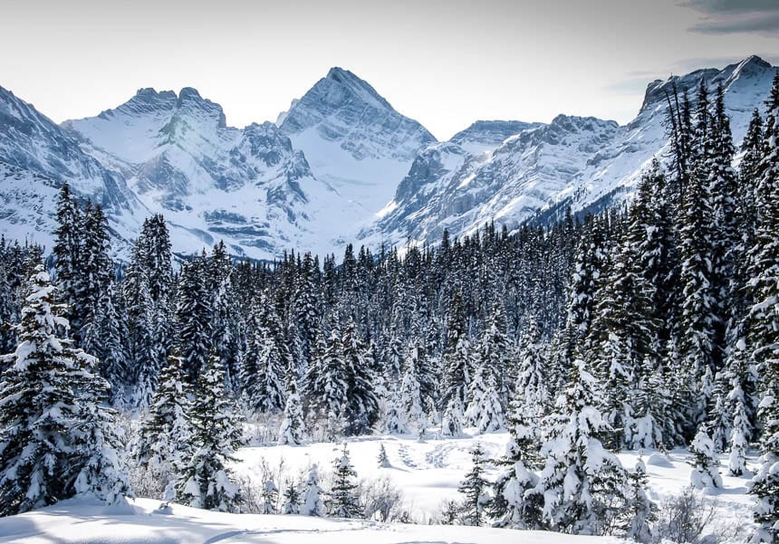  The beauty of the Chester Lake area in Kananaskis Country