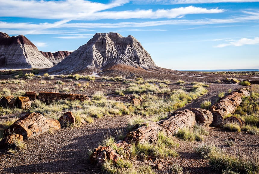 The desolate beauty of Petrified Forest National Park - one of the best hikes in Arizona