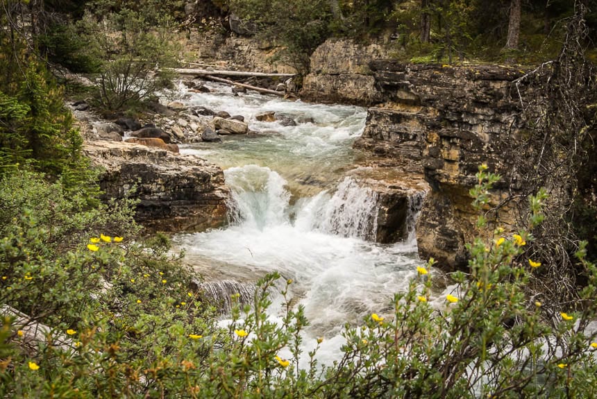 Around every corner there’s a pretty scene on the Beauty Creek hike