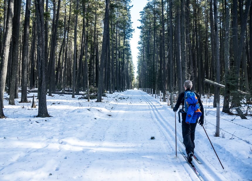 Many of the ski trails are in the shelter of trees so you don't need a lot of snow