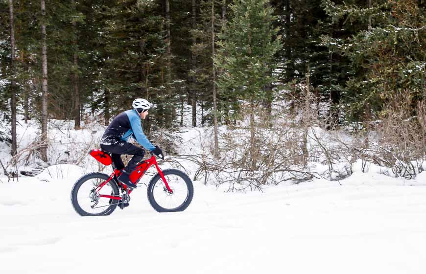 Fat tire biking in Banff National Park