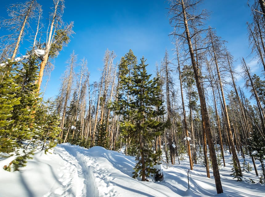 What You Can do on a Winter Weekend in Grand Lake, Colorado