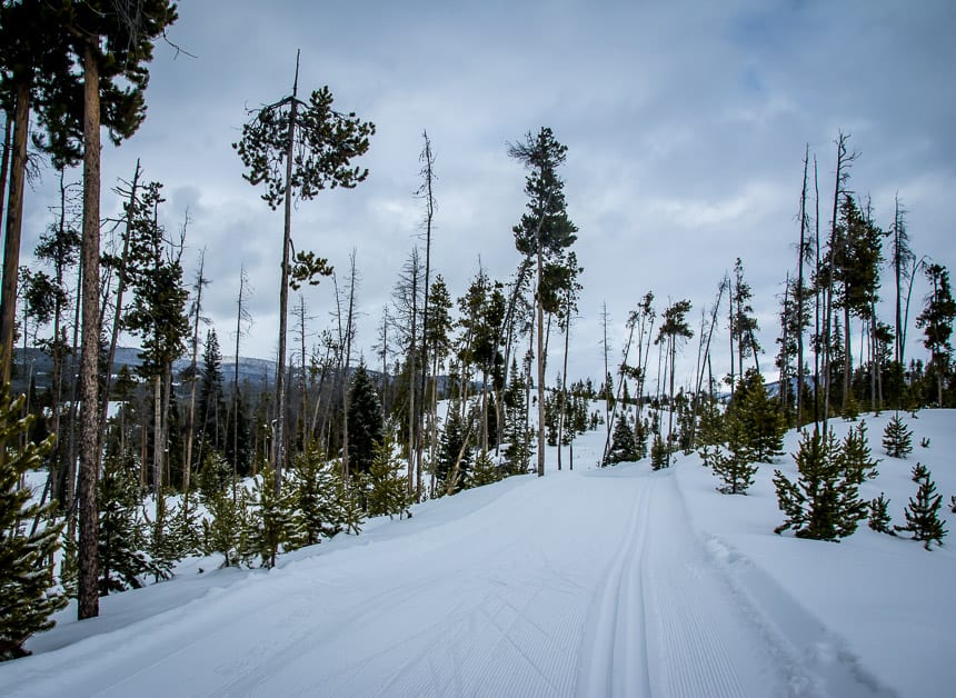  Fabulous and uncrowded ski trails at the Grand Lake Nordic Centre