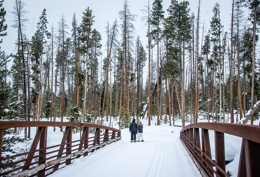 Snowshoe or cross-country ski across the Colorado River